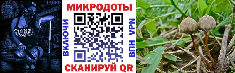 Галлюциногенные грибы ЛСД купить наркоту Константиновск